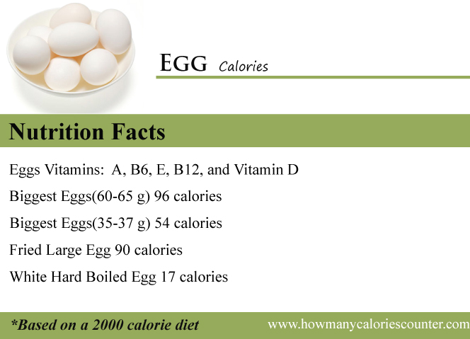 Large Egg Facts