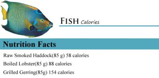 Fish Calories