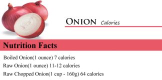 Onion Calories
