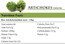 Artichokes Calories