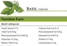 Basil Calories