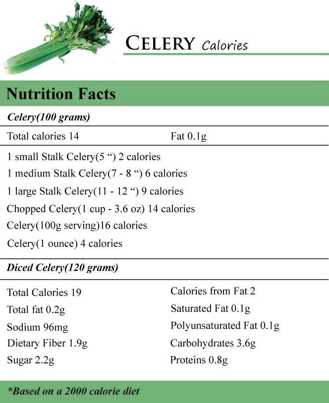 Celery Calories