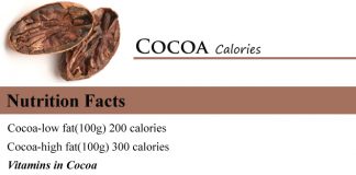 Cocoa Calories