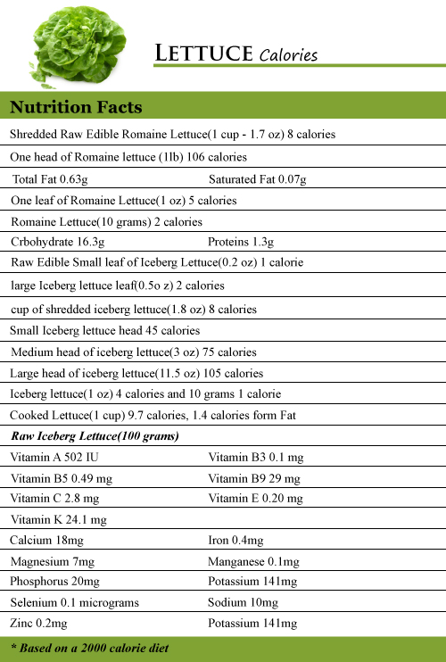Lettuce Calories