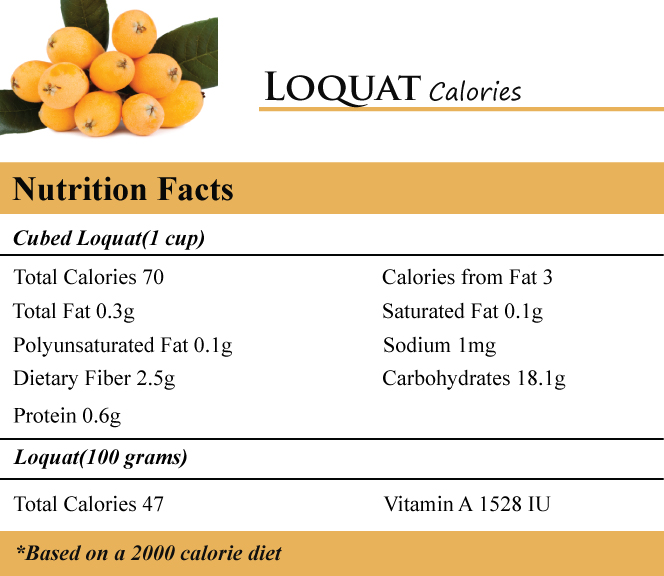 Loquat Calories
