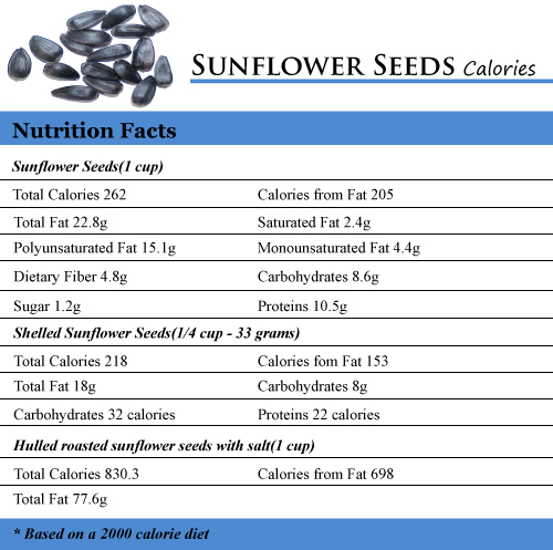 Sunflower Seeds Calories