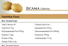 Jicama Calories