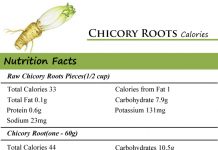 Chicory Roots Calories