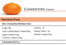 Clementine Calories