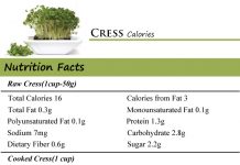 Cress Calories