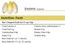 Endive Calories