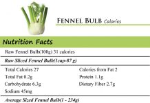 Fennel Bulb Calories