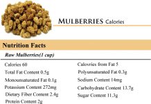 Mulberries Calories