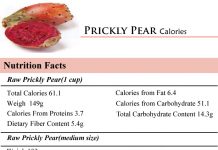 Prickly Pear Caloroes