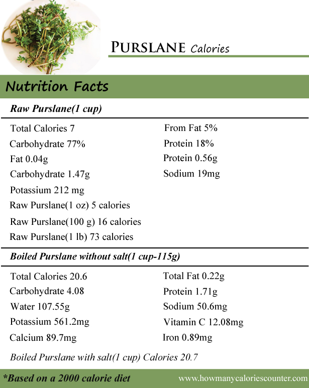 Purslane Calories