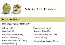 Sugar Apples Calories