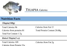 Tilapia Calories