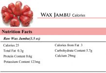 Wax Jambu Calories