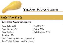 Yellow Squash Calories