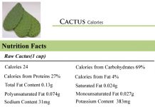Cactus Calories