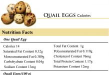 Quail Eggs Calories
