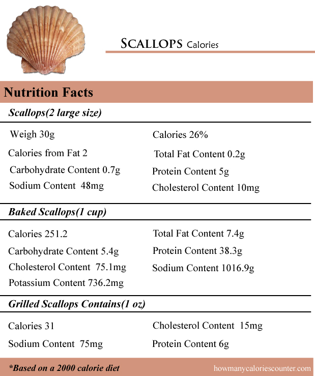 Scallops Calories