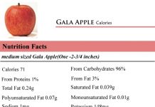 CaloriesinGalaApple