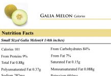 CaloriesinGaliaMelon