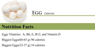 Egg Calories