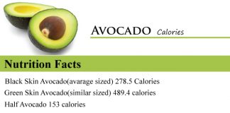 Avocado Calories