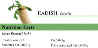Radish Calories