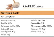 Garlic Calories