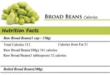 Broad Beans Calories