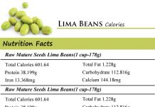 Lima Beans Calories