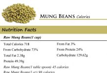 Mung Beans Calories