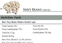 Navy Beans Calories