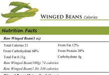 Winged Beans Calories