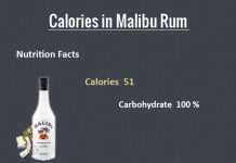 How Many Calories in Malibu Rum