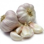 Garlic1
